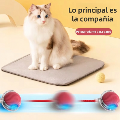 Juguete Teaser Interactivo para Mascotas™